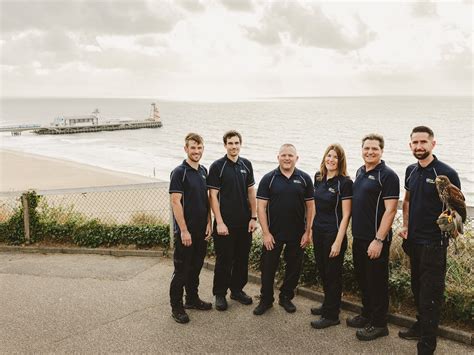 rat catchers poole|Emergency Pest Control Bournemouth, Poole & Dorset 24/7.